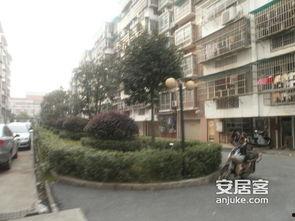 明星房子分布照片